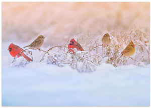 Art Prints of Snowy Morning  Party
