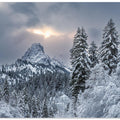 The alpine freshness