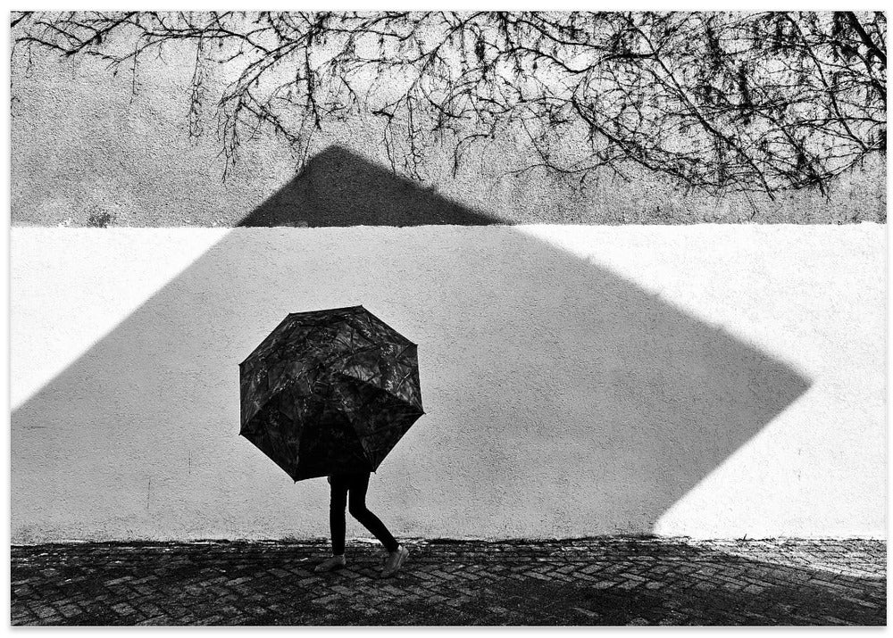 Shadow Geometry