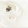 White Flower 02