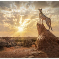 SundownCheetah