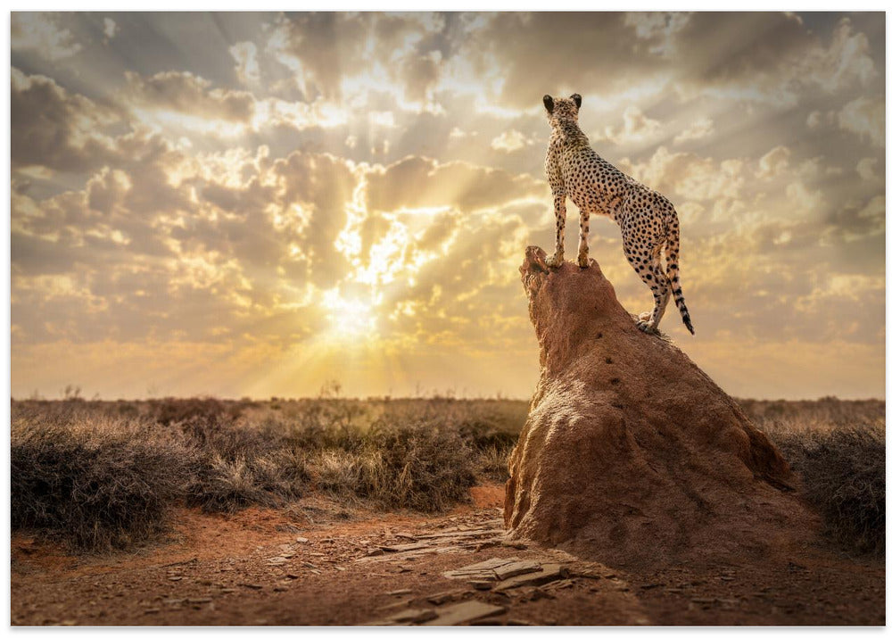 SundownCheetah