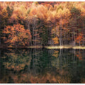 Beautiful reflection in Autumn