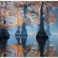 Apparitions of Perpetuity