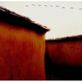 Leaving For Winter