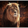 Art Prints of HIS MAJESTY, THE KING