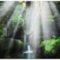 the eden of light