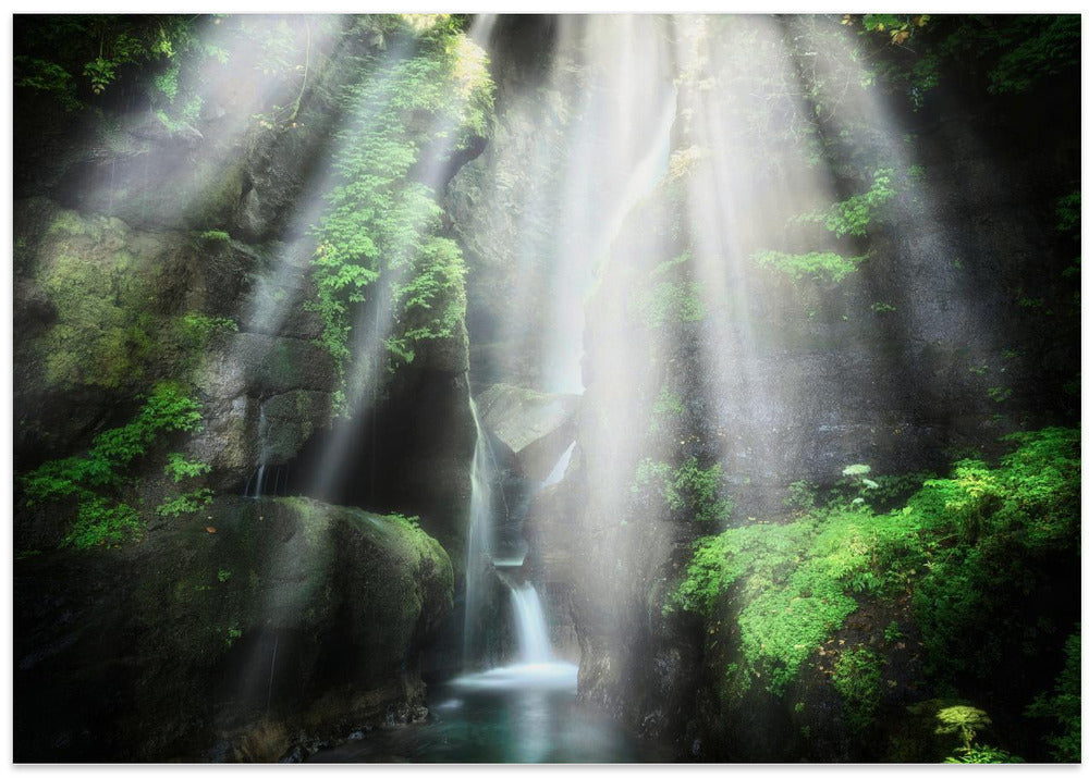 the eden of light