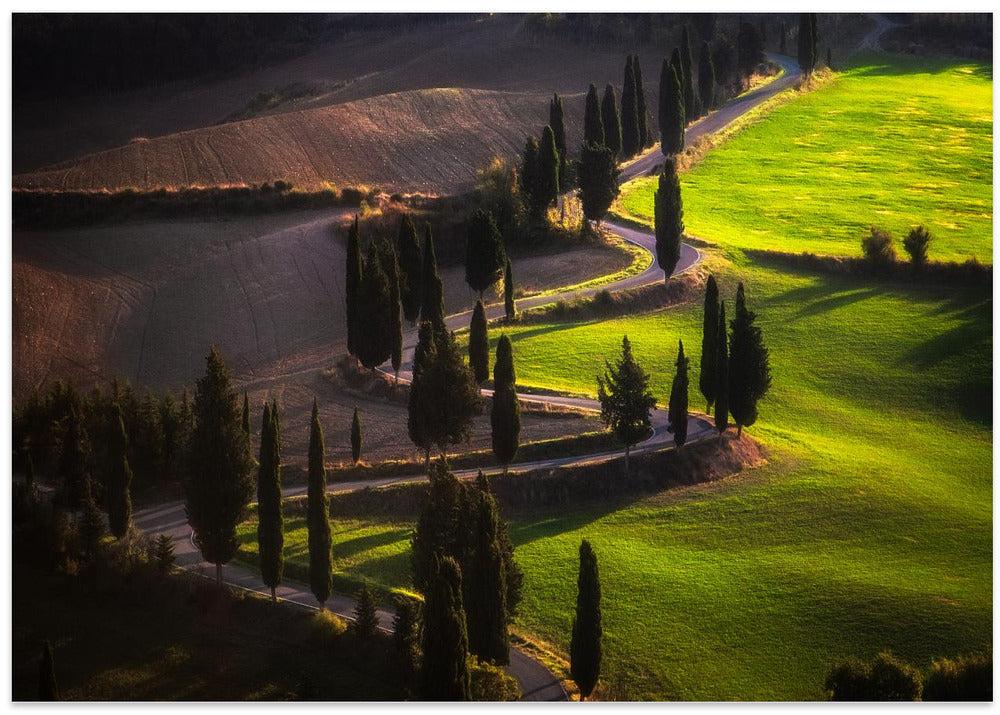 Torrenieri Road