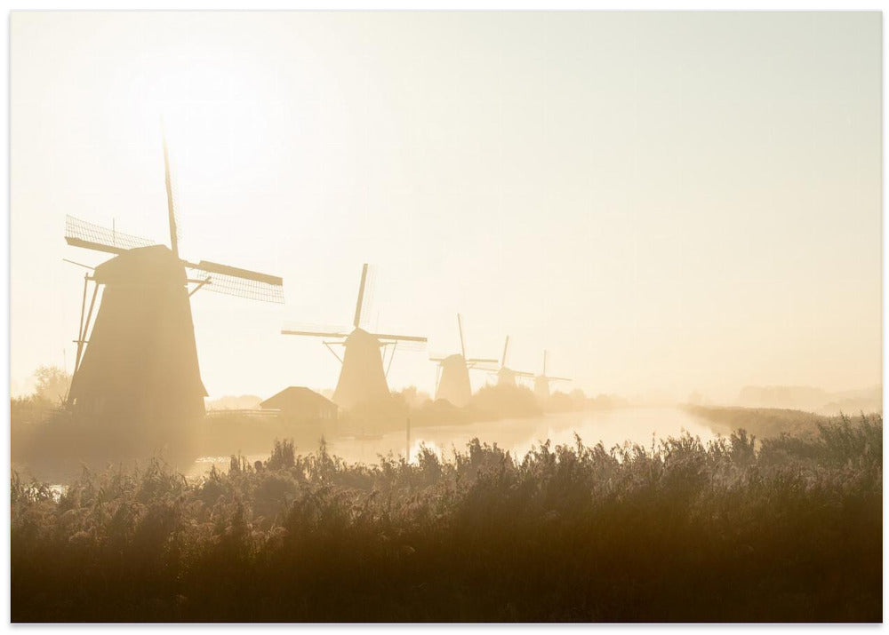 Kinderdijk