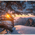 Yellow Mountain and Strange Pine after Snow