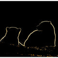 Art Prints of Polar bear cubs