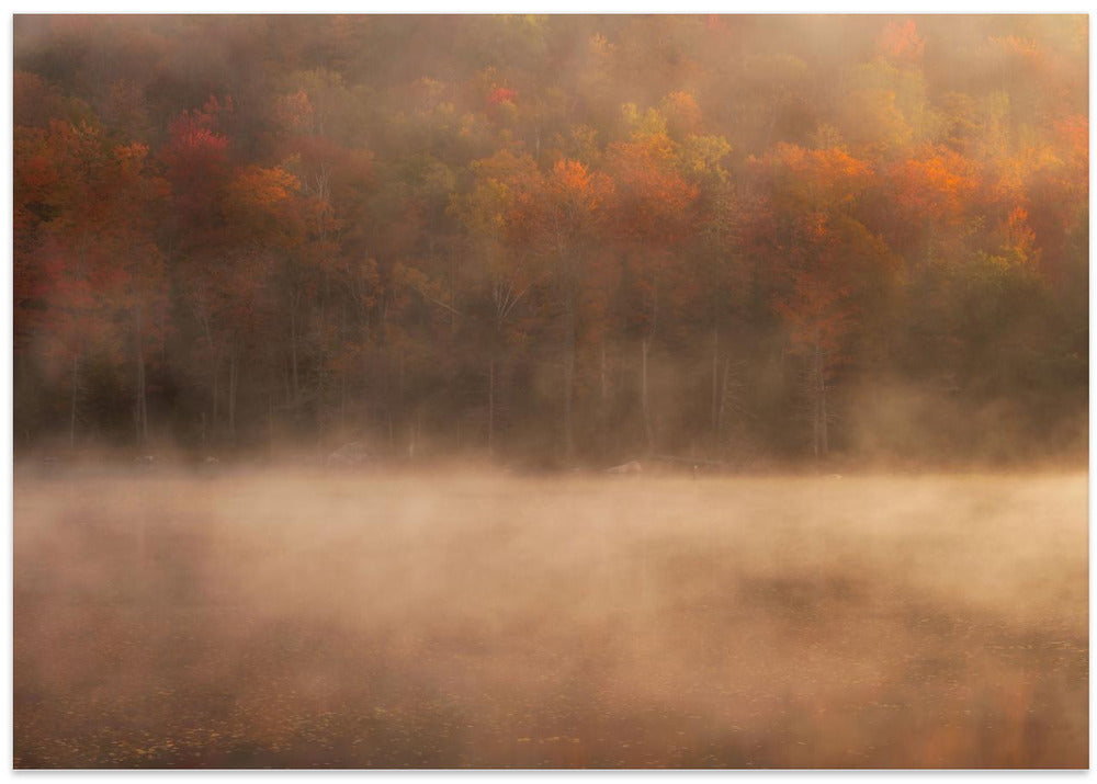 Peak of Fall