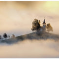 Out of the fog