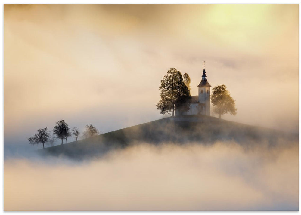 Out of the fog