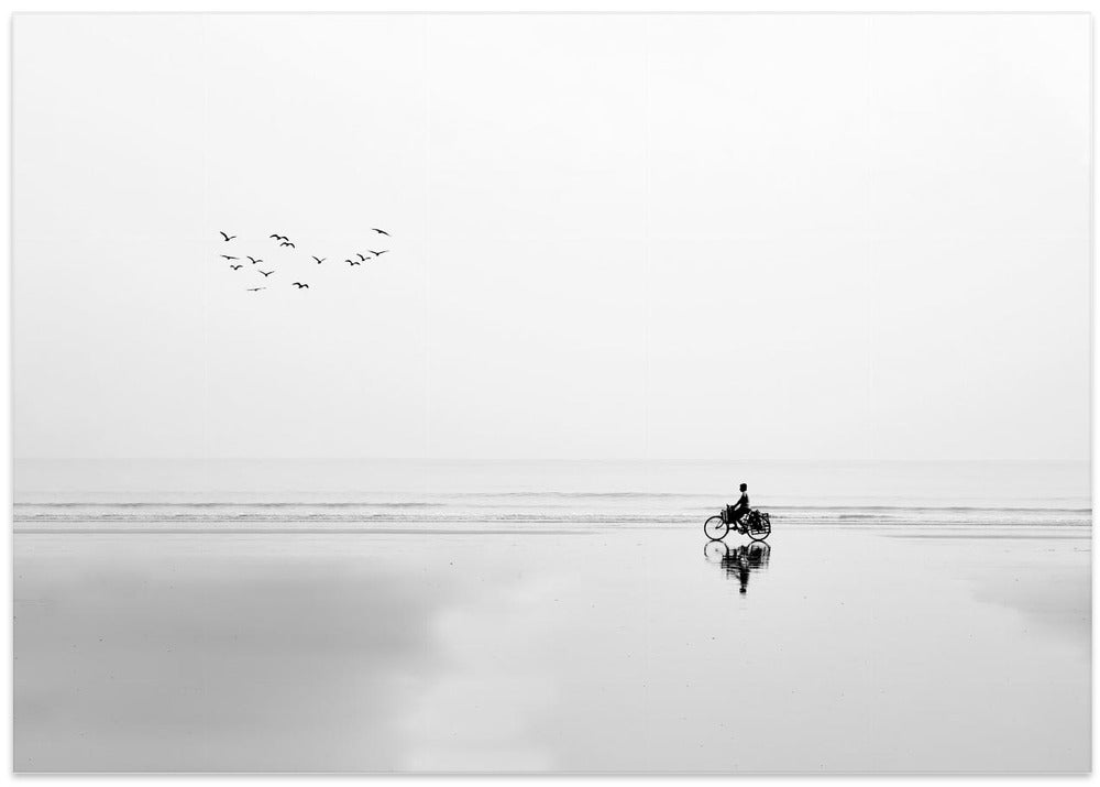 CYCLE AND THE BIRDS