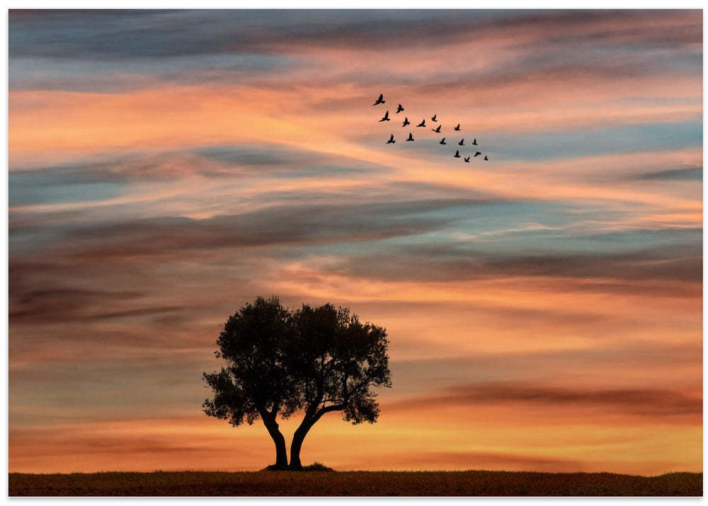 Silence autumn