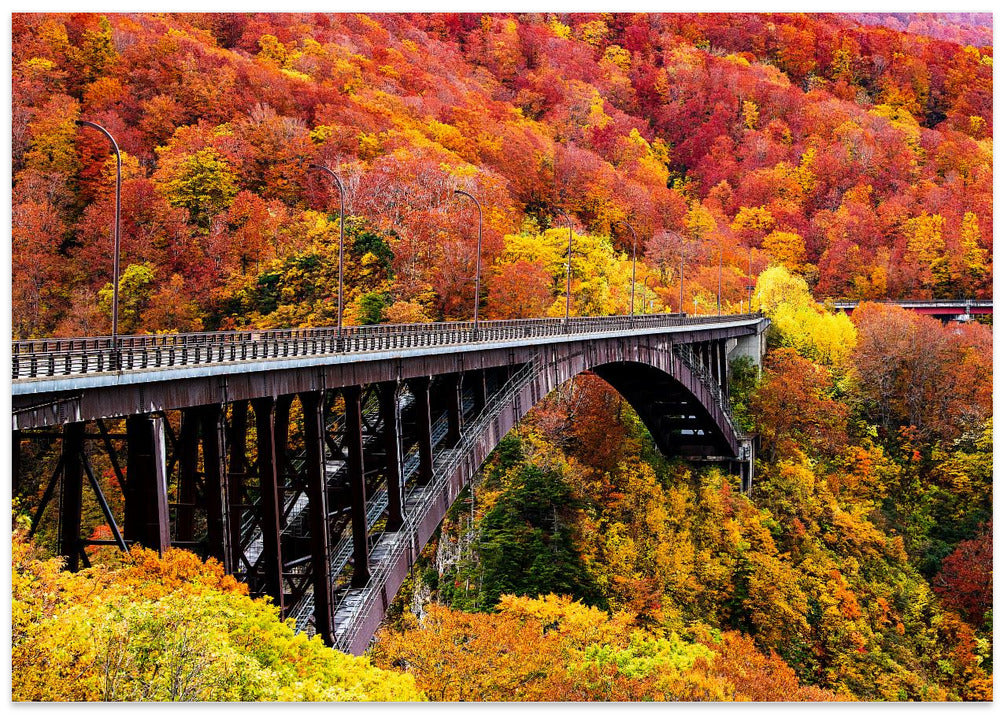 The art arch bridge