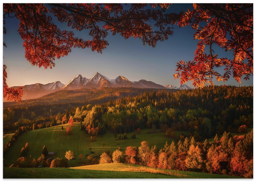 Idyllic morning