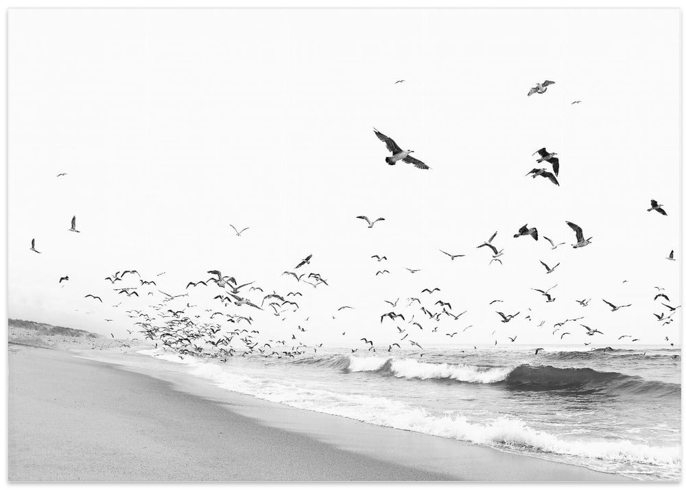 Seascape BW