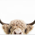 Canvas Art Print Peeking Cow