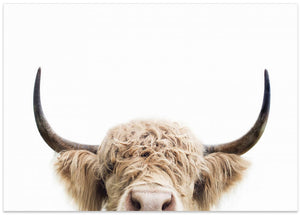 Canvas Art Print Peeking Cow
