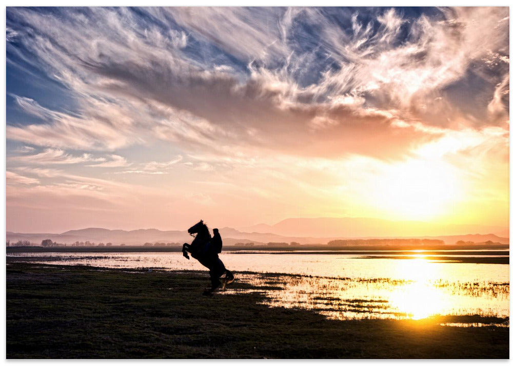 Cowboy on Sunset...