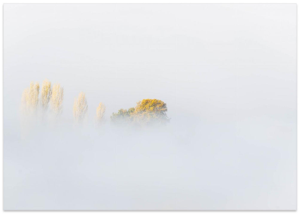 FOG