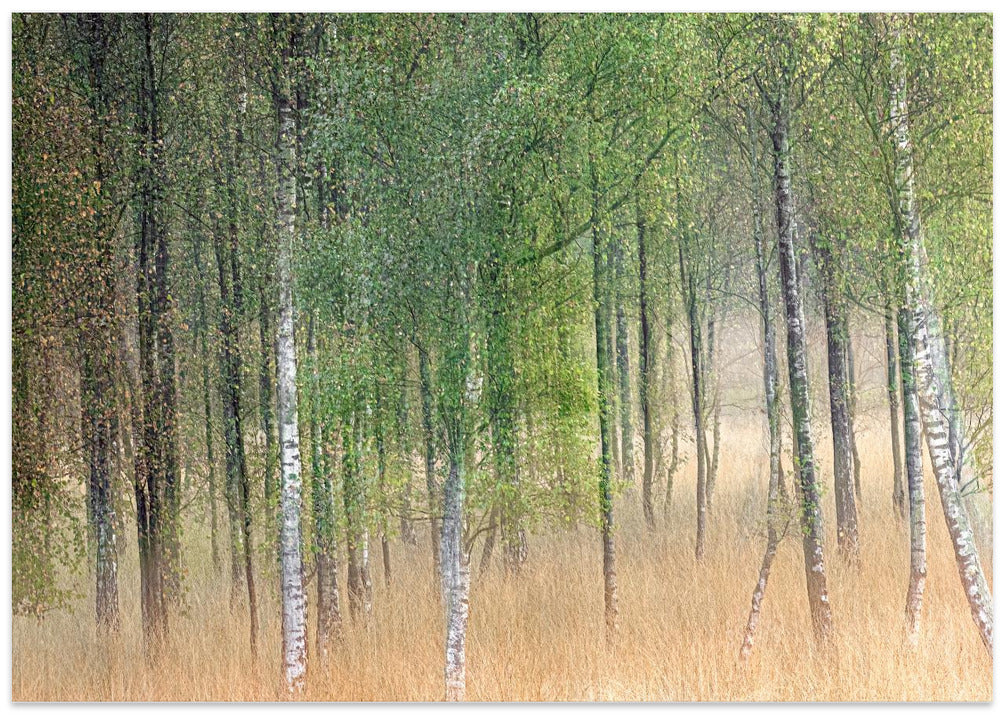 Waving trees
