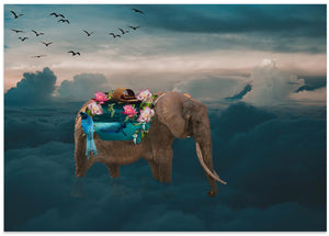 Art Prints of Sea elephant