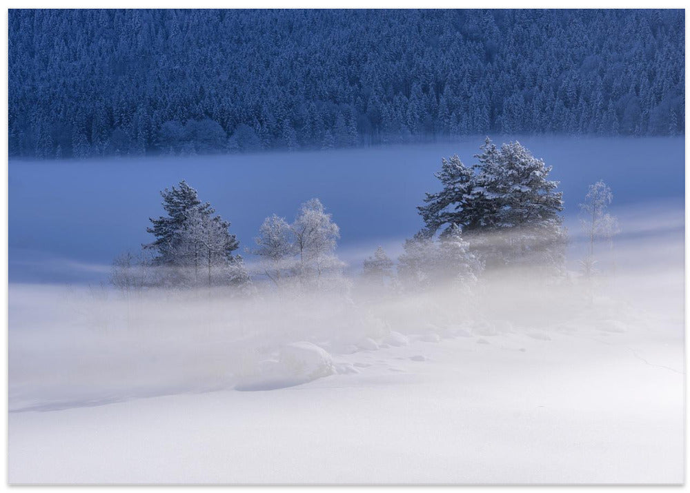 Frozen Lake
