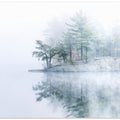 Autumn fog