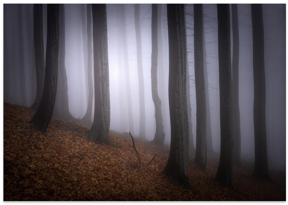 Autumn mood