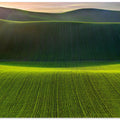 Terra Madre##