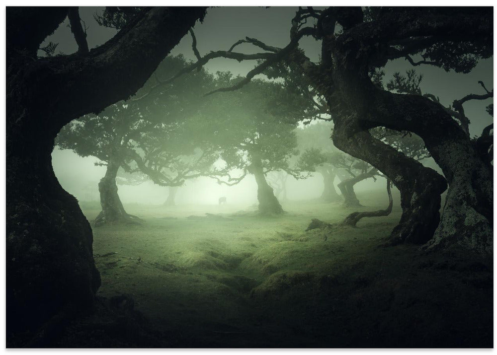 Hidden secret