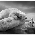Canvas Art Print PolarFriends
