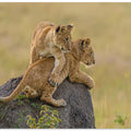 Canvas Art Print Siblings