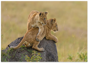 Canvas Art Print Siblings
