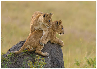 Canvas Art Print Siblings