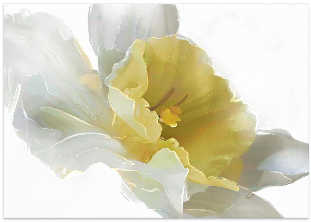 Daffodil