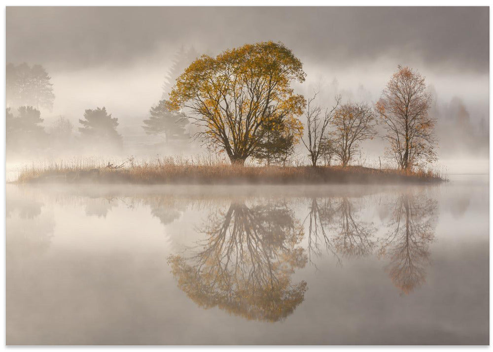 Misty morning