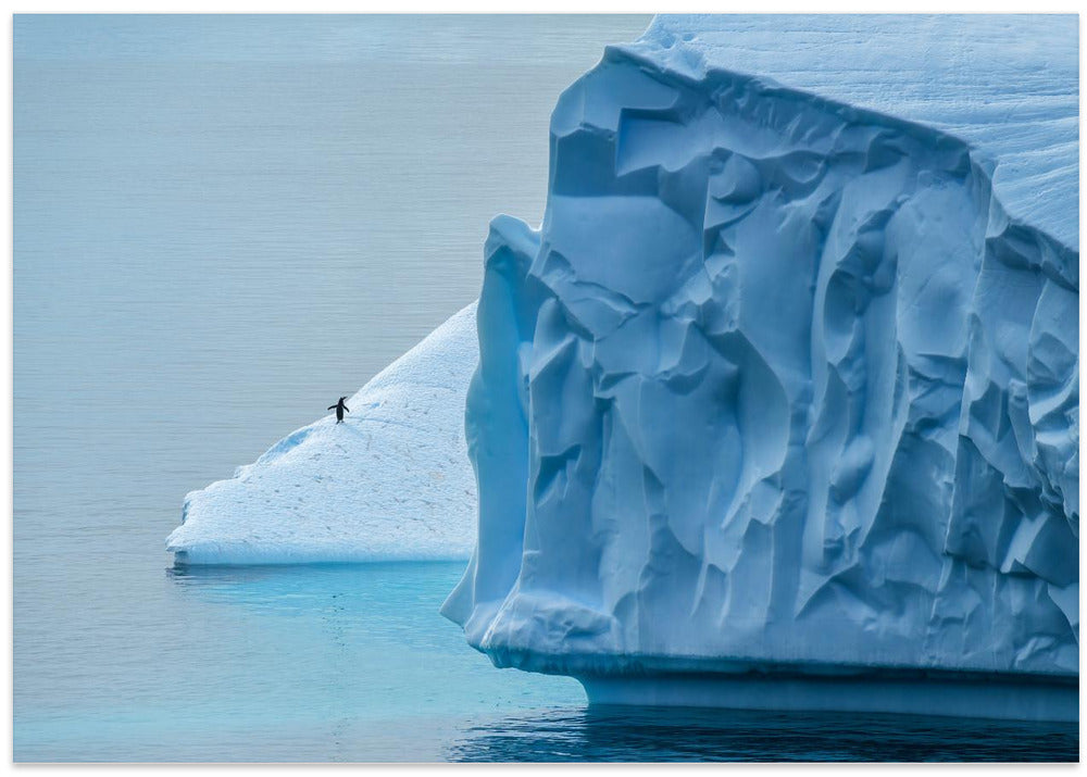 Lost in Antarctica