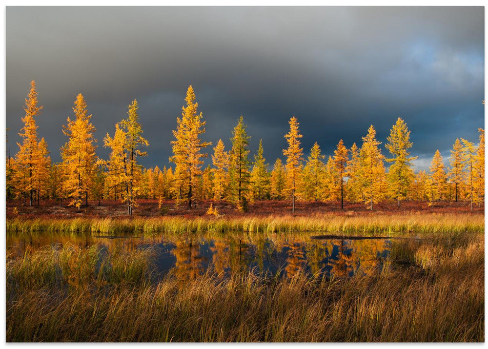 Siberian fall