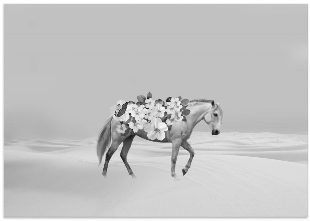 Single horse