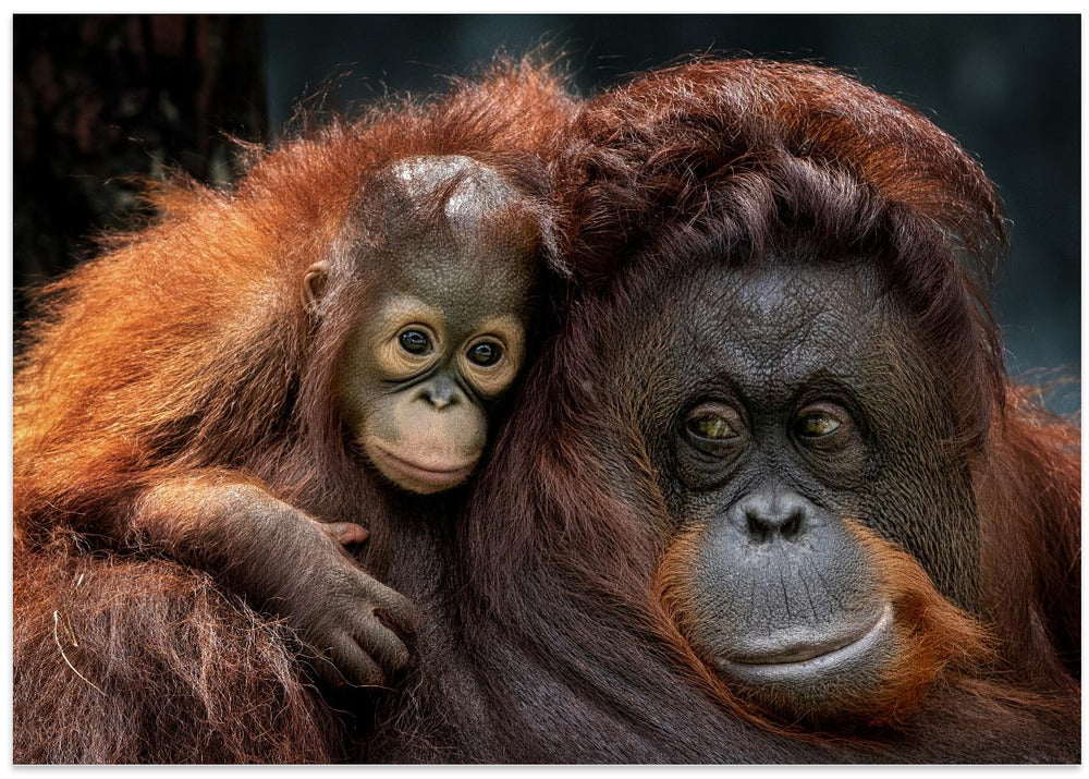 With mom