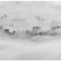 Foggy Morning in Los Angeles