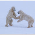 Greeting