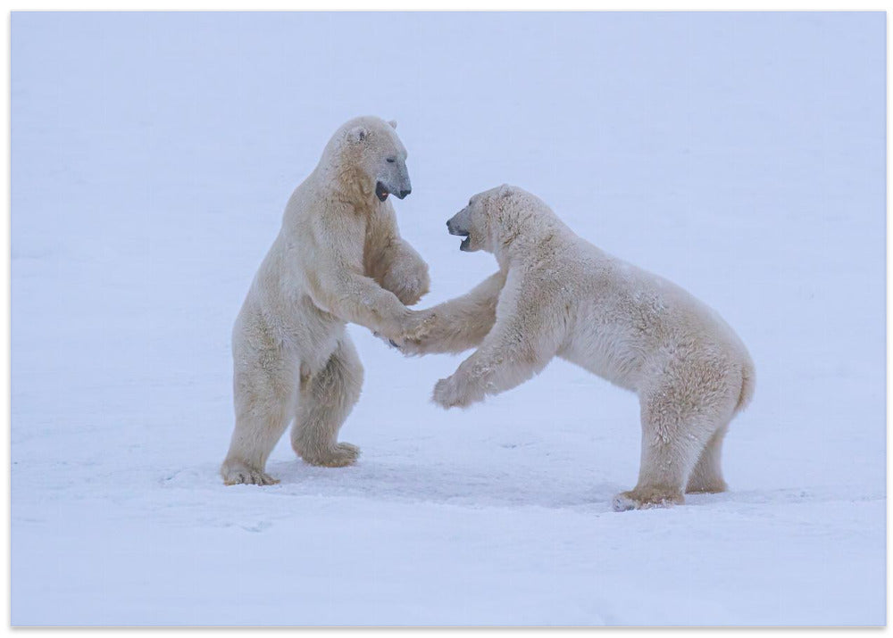Greeting