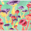 Magic Mushrooms