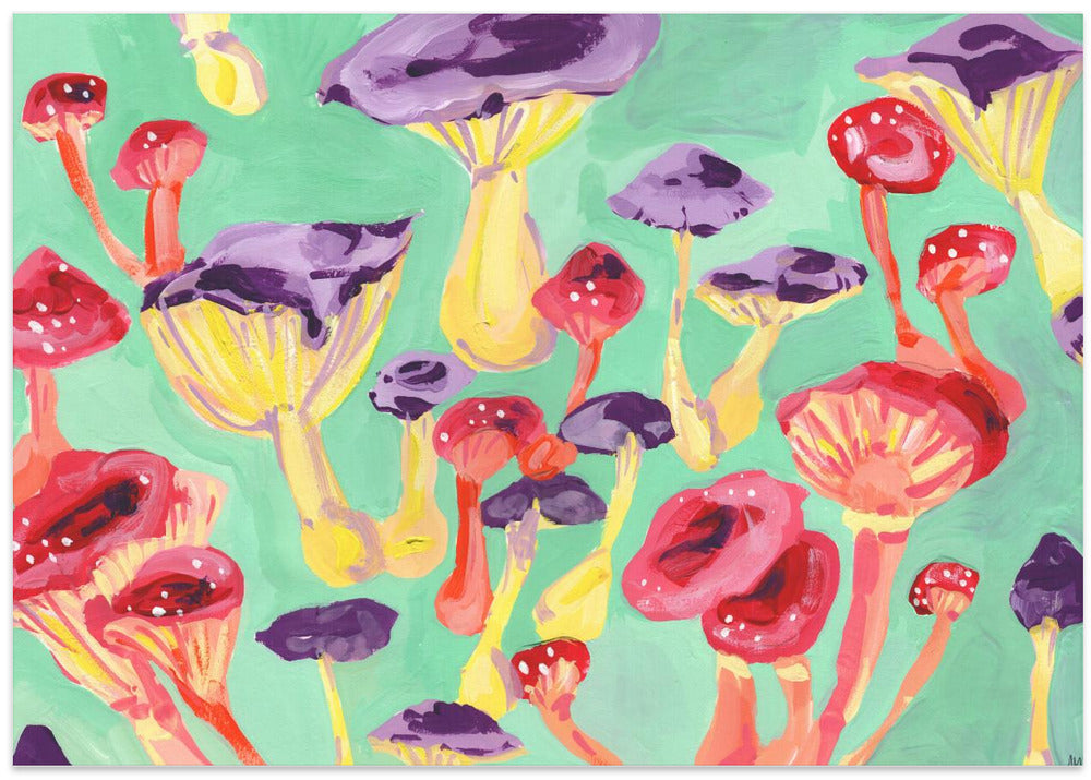Magic Mushrooms